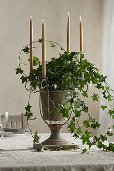 a potted plant sitting on top of a table next to candles and wine glasses