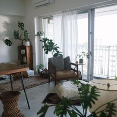 a living room filled with furniture and plants