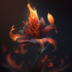 an orange and purple flower on a black background with fire coming out of the petals