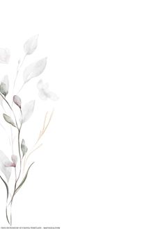 watercolor painting of white flowers on a white background