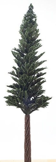 a rope wrapped pine tree is shown in front of a white background