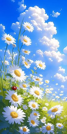 the ladybug is sitting on the daisies in the field