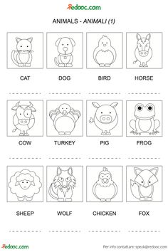 an animal worksheet for kids to learn how to draw and color the animals