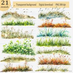 watercolor grass and plants in different stages of growth, with the title 21 transparent background background