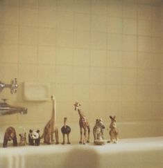 the toy animals are lined up in the bathtub