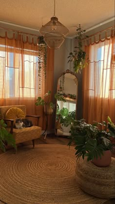 a living room filled with furniture and lots of plants