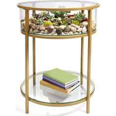 a round glass table with plants and rocks on the bottom, along with a stack of books