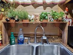 a kitchen sink sitting under a window filled with potted plants