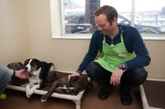 a man petting two dogs on the floor in front of a window with another dog