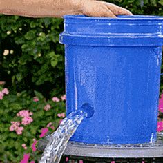 a person is filling a blue bucket with water