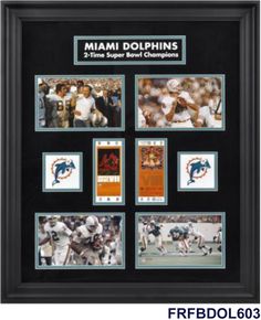 the miami dolphins football team framed memorabilia