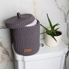 a potted plant sitting on top of a toilet next to a knitted container