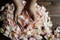 two hands reaching for petals from a pile of pink and white flowers on a wooden table