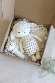 a stuffed animal in a box on a table