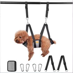 a brown dog wearing harnesses and leashes on top of a white background with black straps