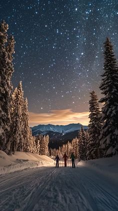 Three people skiing under a starry winter sky surrounded by snow-covered trees and mountains, creating a serene winter wallpaper scene. Cabin In Mountains, Snowy Cabin, Earth Drawings, Snow Covered Trees, Magical Winter