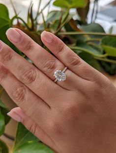 a woman's hand with a diamond ring on top of her finger, next to a potted plant