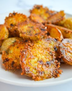 some fried food is on a white plate