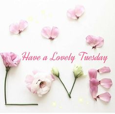 some pink flowers and the words have a lovely tuesday