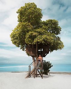 a tree house on the beach with people in it