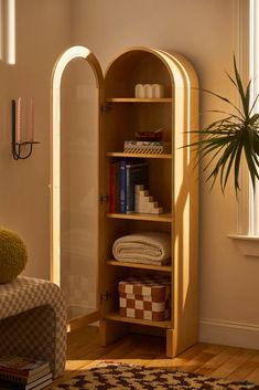 a book shelf in the corner of a room with a potted plant next to it