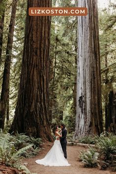 a bride and groom standing in front of the giant sequta trees at their wedding