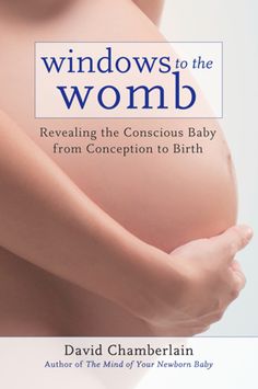 the book cover for windows to the womb revealing the conscious baby from concept to birth