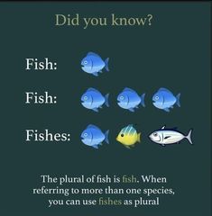 a group of fish swimming next to each other on a green background with the words, did you know?