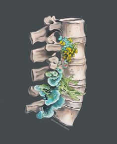 a drawing of the back of a human skeleton with flowers on it's ribs