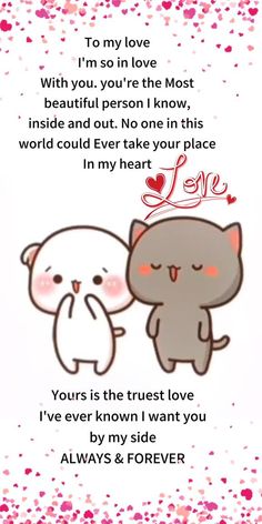 an image of two cats in love with the caption i'm so in love