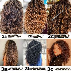 Curly Hair Perm Types, Long Curly Permed Hair, Different Perms For Women, Different Kinds Of Perms For Long Hair, Perm Patterns, Different Types Of Perms For Long Hair, Curl Perm Types, Types Of Perms For Long Hair, Diy Perm At Home Curls