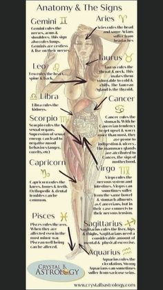 an image of a woman's body with the words anatomy and the signs on it