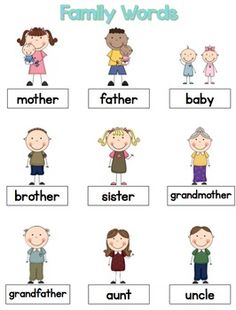 the family words worksheet for children to learn how to use them in their own language