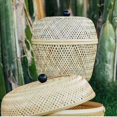 two wicker containers sitting next to each other on the ground in front of bamboo trees