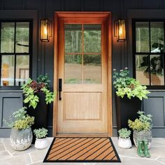 two potted plants sitting on the front steps of a house next to a door