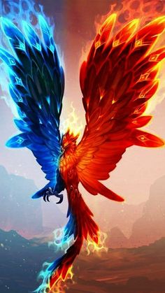 a colorful bird flying through the air with fire and flames around it's wings