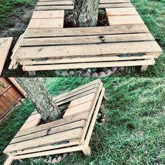 two pictures of the same bench made out of pallet wood, and one has a tree in it