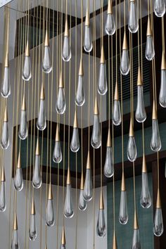 a bunch of glass drops hanging from a ceiling