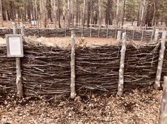 a fence made out of sticks in the woods