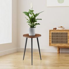 a potted plant sitting on top of a wooden table