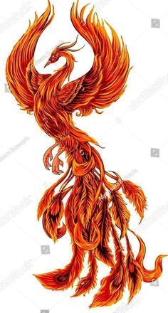 an orange and red bird with long feathers on it's back, flying in the air