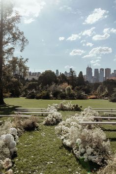 the park is full of benches with flowers on them and trees in the foreground