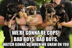 two police officers are holding puppies in their arms and the caption says, we're going to be cops bad boys, bad boys, bad boys,