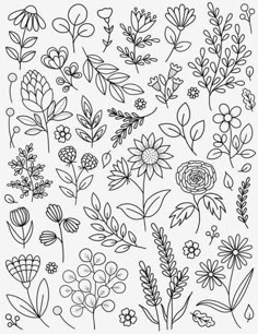 flowers and leaves are drawn in black ink