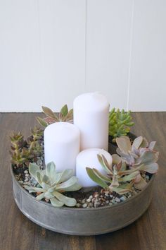 three white candles sitting on top of a metal container filled with succulents