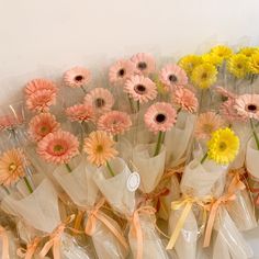 a bunch of flowers are wrapped in plastic