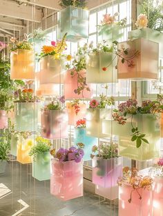 a room filled with lots of different types of flowers and plants hanging from the ceiling