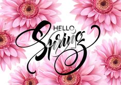 the words hello spring are surrounded by pink flowers