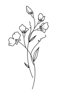 April Sweet Pea Tattoo, Sweet Pea Drawing, Pea Drawing, Sweet Pea Tattoo, April Flower, Ant Tattoo, April Birth Flower, Vegetable Illustration, Sweet Pea Flowers