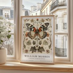 a butterfly sits on the window sill next to a potted plant in front of it